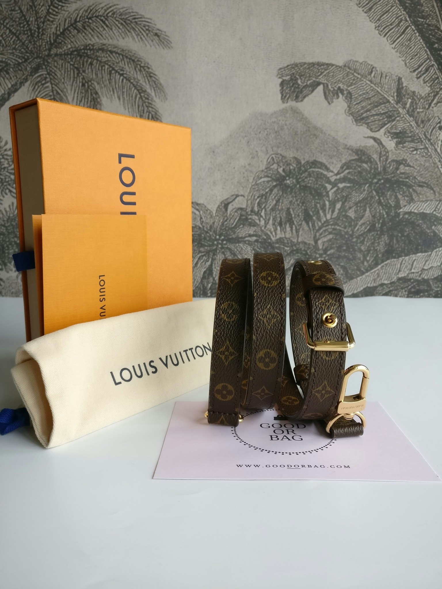 Louis Vuitton bandouliere bag strap