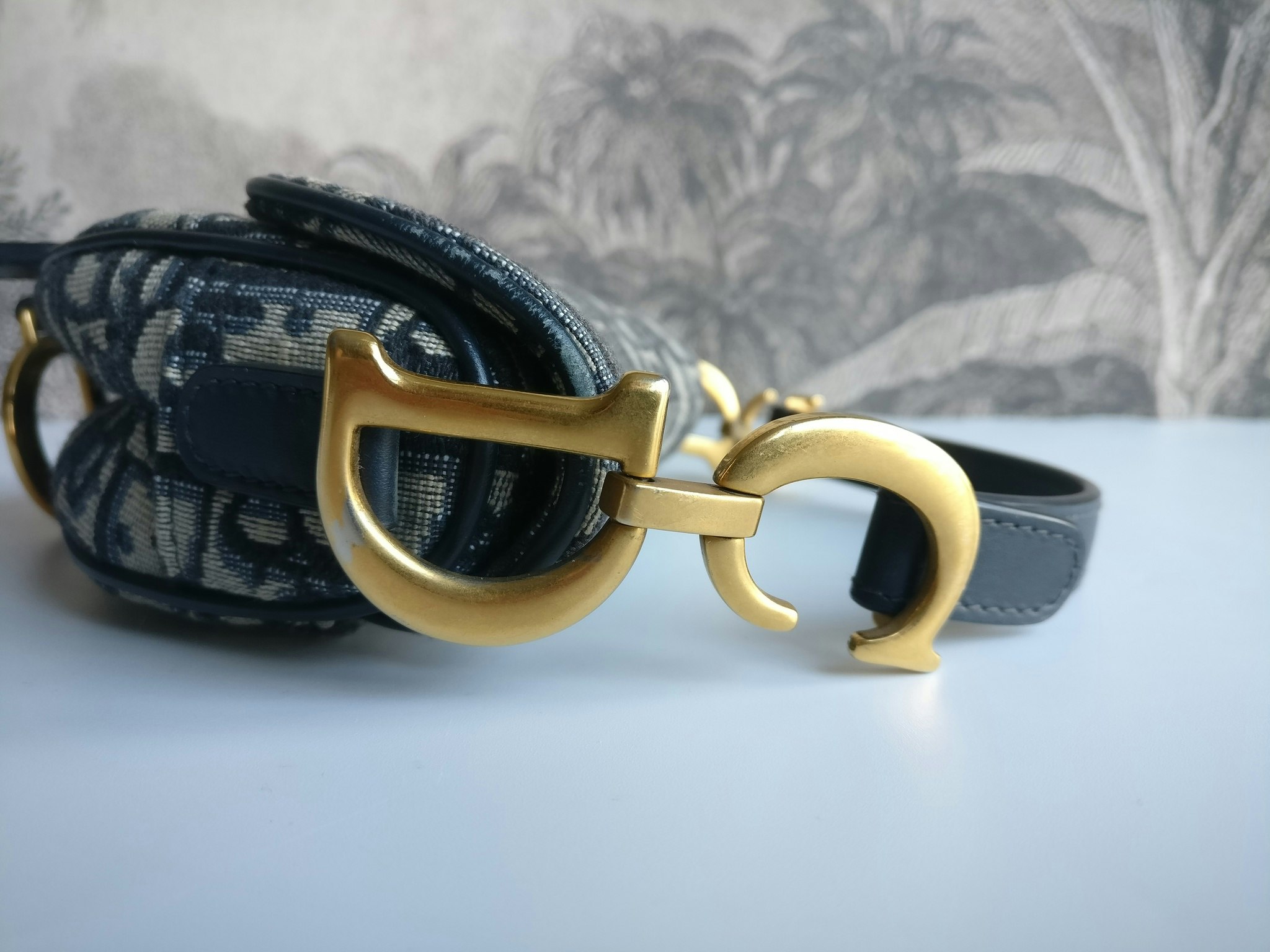 Dior Mini Saddle bag
