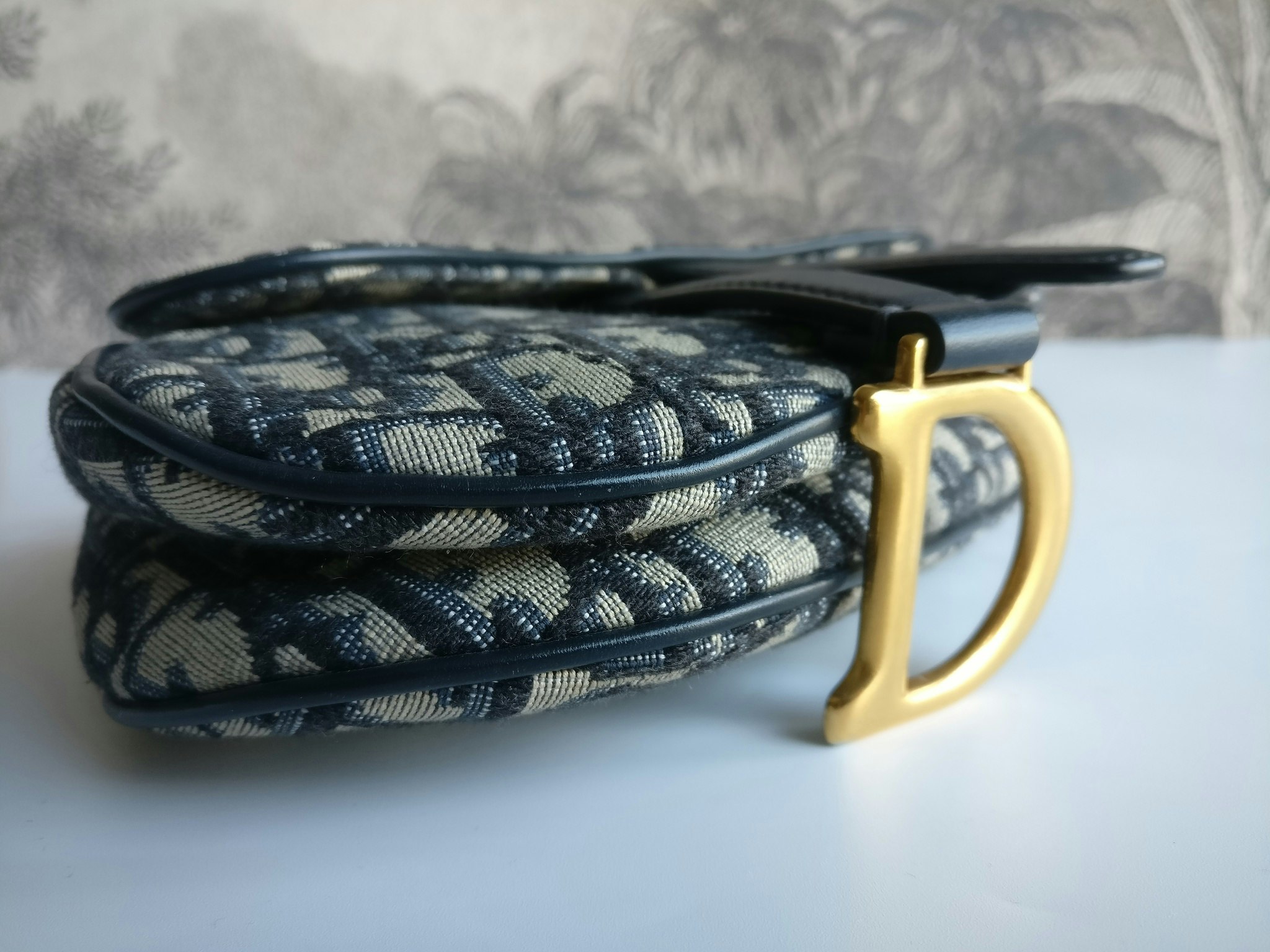 Dior Mini Saddle bag