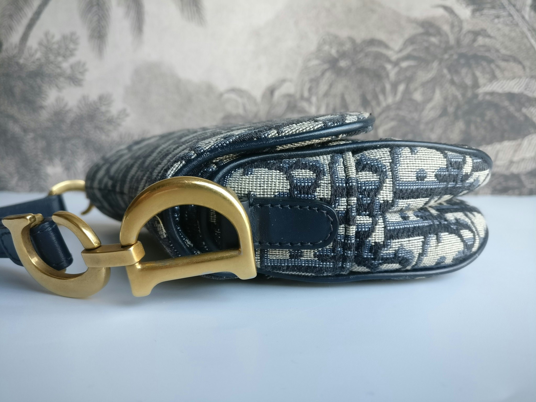 Dior Mini Saddle bag