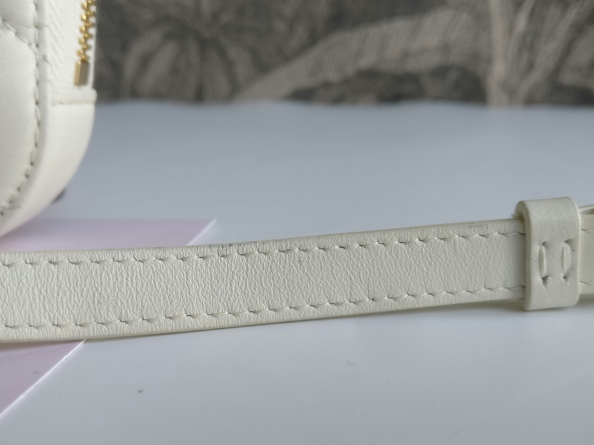 Lady Dior Callin' phone holder bag