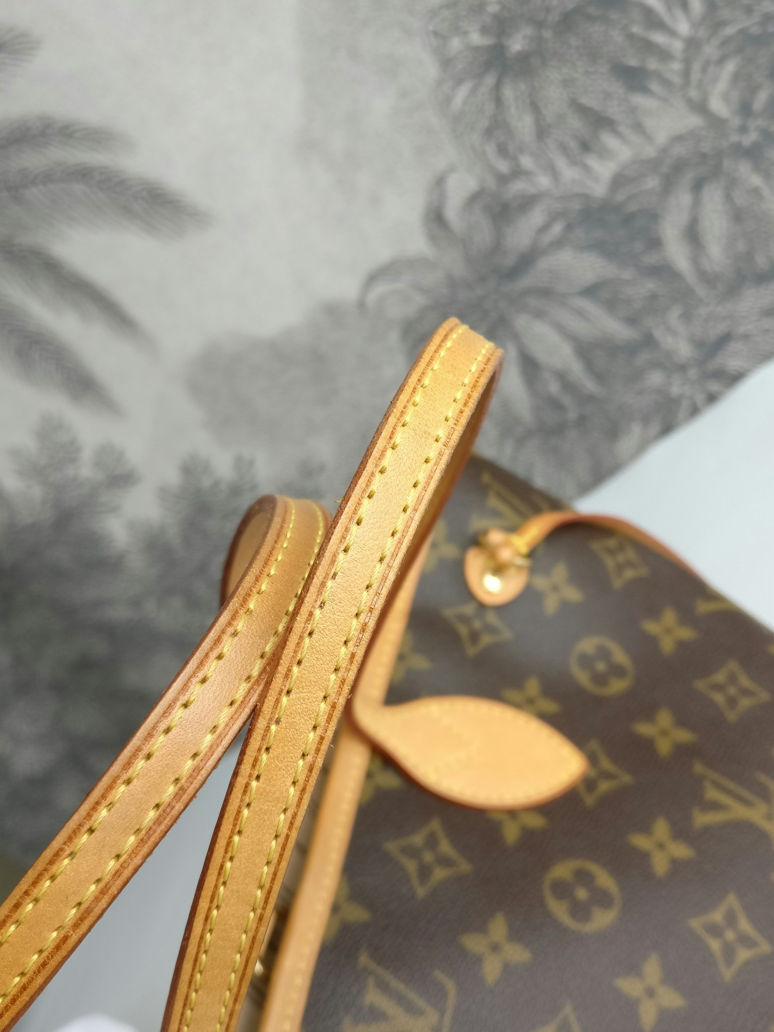 Louis Vuitton Neverfull PM