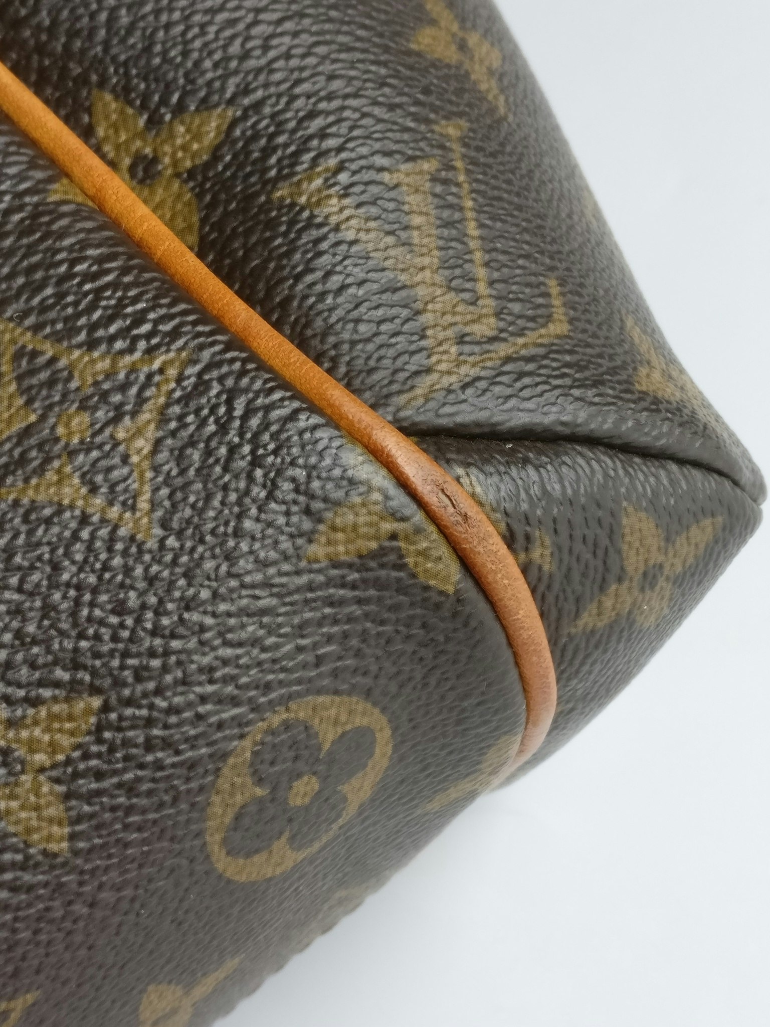 Louis Vuitton Totally PM monogram