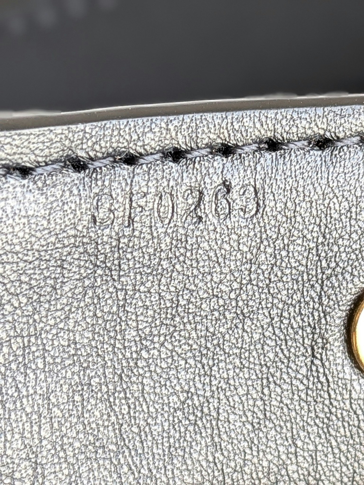 Louis Vuitton Bandouliere XL shoulder strap