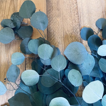 Eucalyptus apple leaves grön 100gr