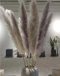 Stort & fluffigt pampasgräs, Natur 120cm 1-pack