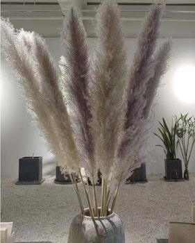 Stort & fluffigt pampasgräs, Natur 120cm 1-pack