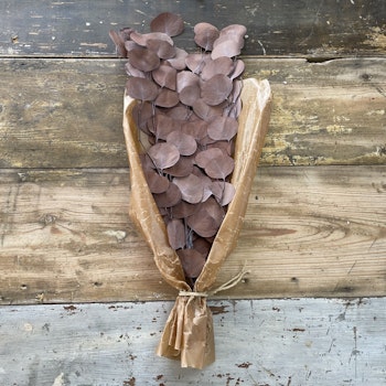 Eucalyptus apple leaves Kopparbrun 100gr