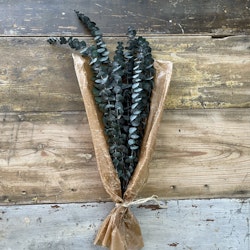 Eucalyptus grön 100gr