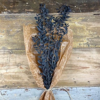 Ruscus Svart 100gr