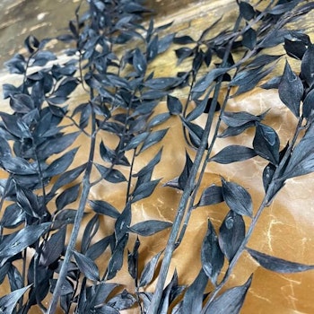 Ruscus Svart 100gr