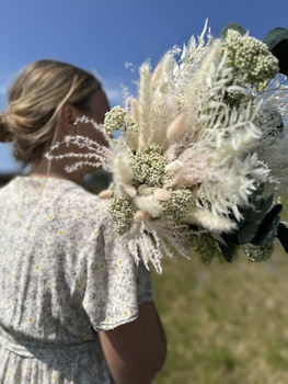 Startpaket - Blomstrande