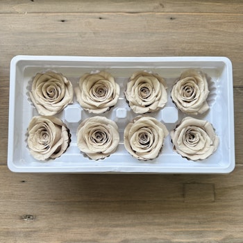 Rosor Creme 8-pack
