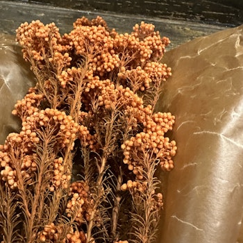 Diosmi Rice flower, orange 100gr