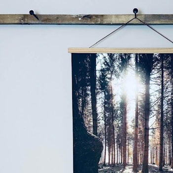 Canvasposter Skogsglänta 50X70cm