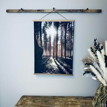 Canvasposter Skogsglänta 50X70cm