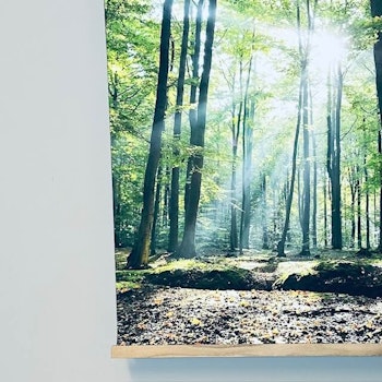 Canvasposter Lövskog 50X70cm