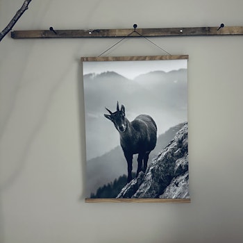 Canvasposter Get 50X70cm