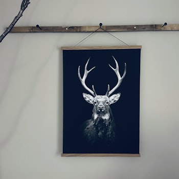Canvasposter Vilda djur 50X70cm