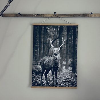 Canvasposter Vilda djur 50X70cm