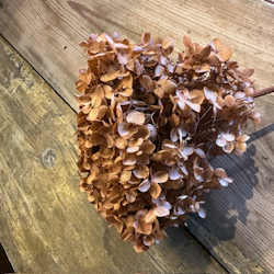 Hortensia Ljus koppar 1-pack