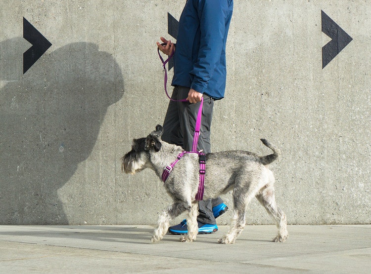 Dog Copenhagen, Comfort Walk Air Sele - Hunting Green (utgående modell)
