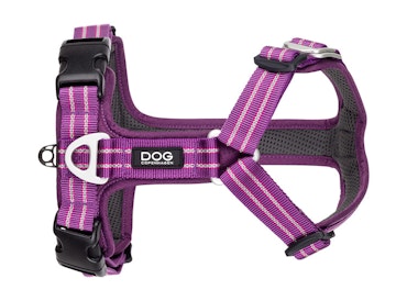 Dog Copenhagen, Comfort Walk Air Sele - Black (utgående modell)