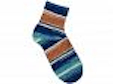 smart sock