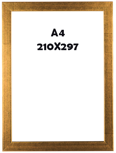 A4 (210x297)