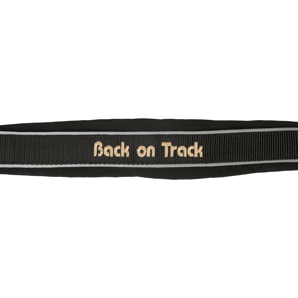 Back on Track Werano Grimma, Reflex