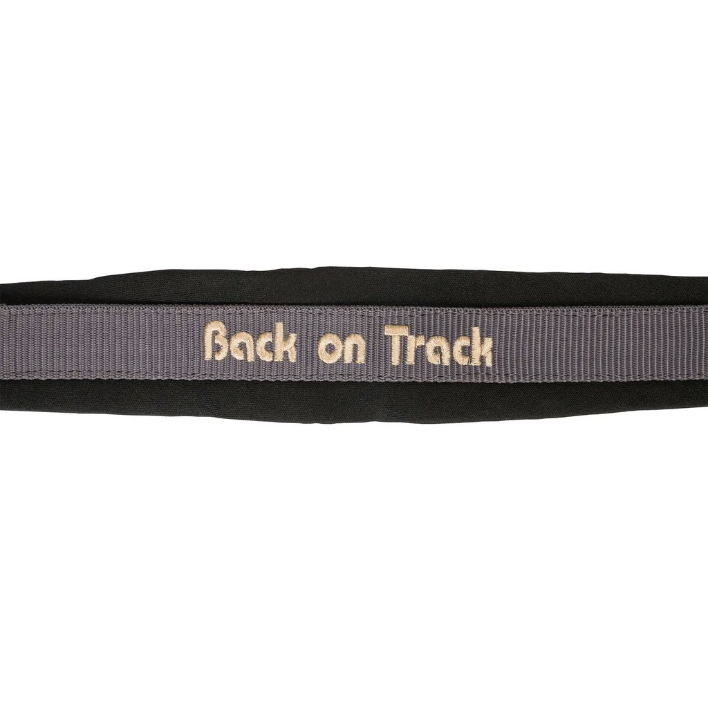 Back on Track Werano Grimma, Grå