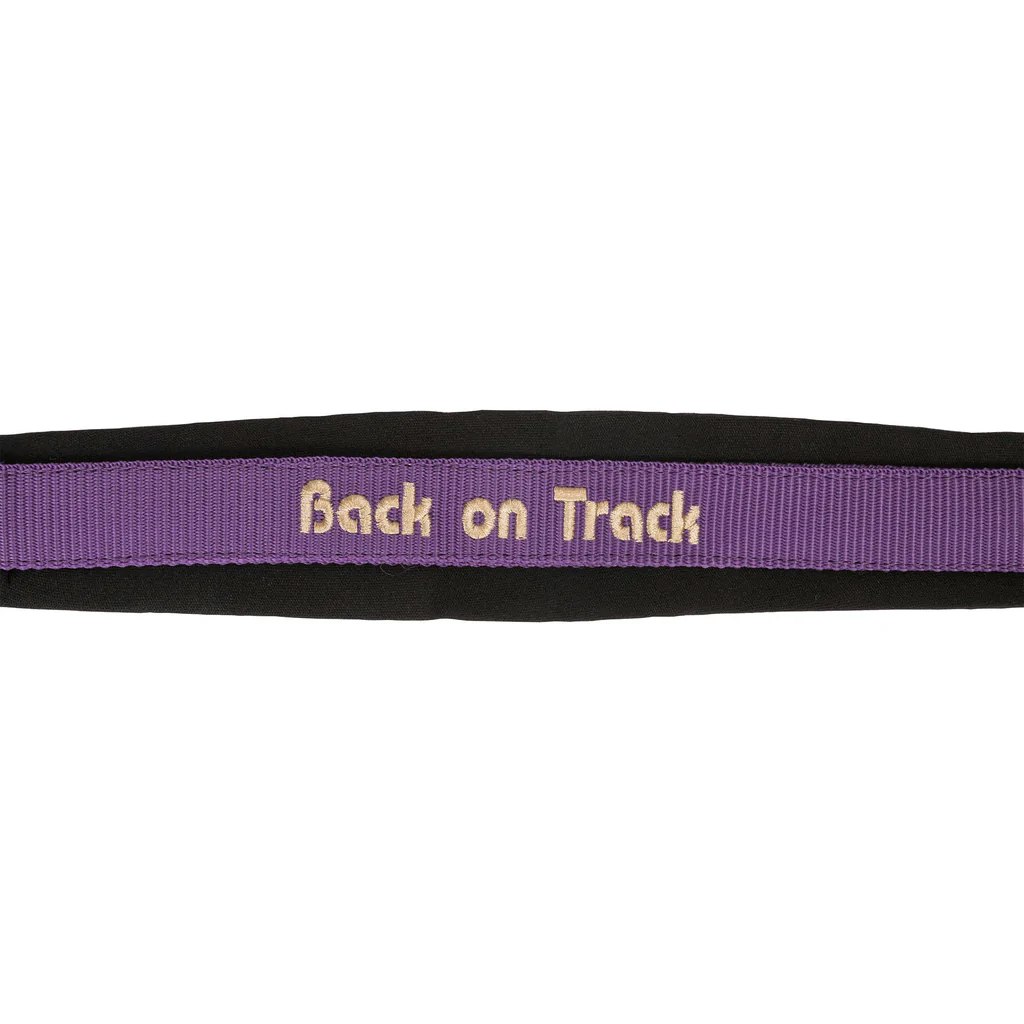 Back on Track Werano Grimma, Lila