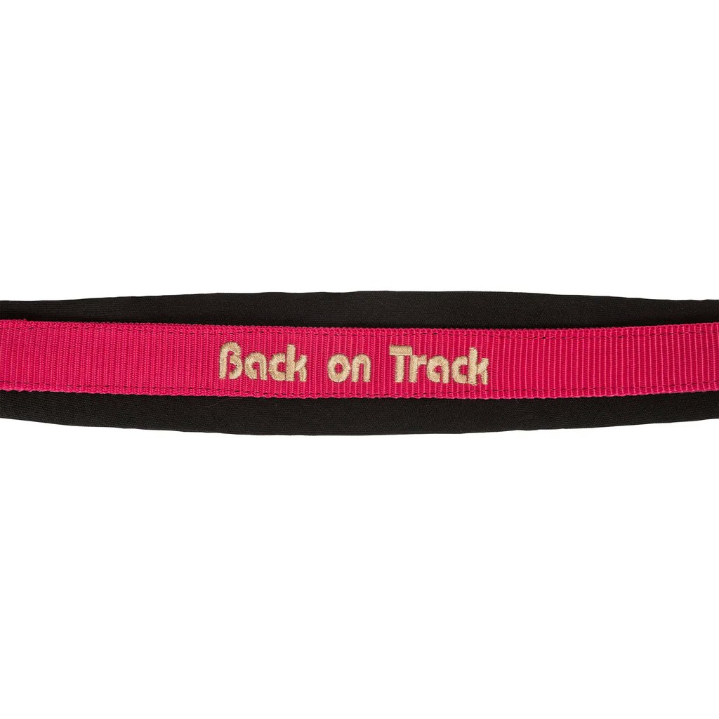 Back on Track Werano Grimma, körsbär