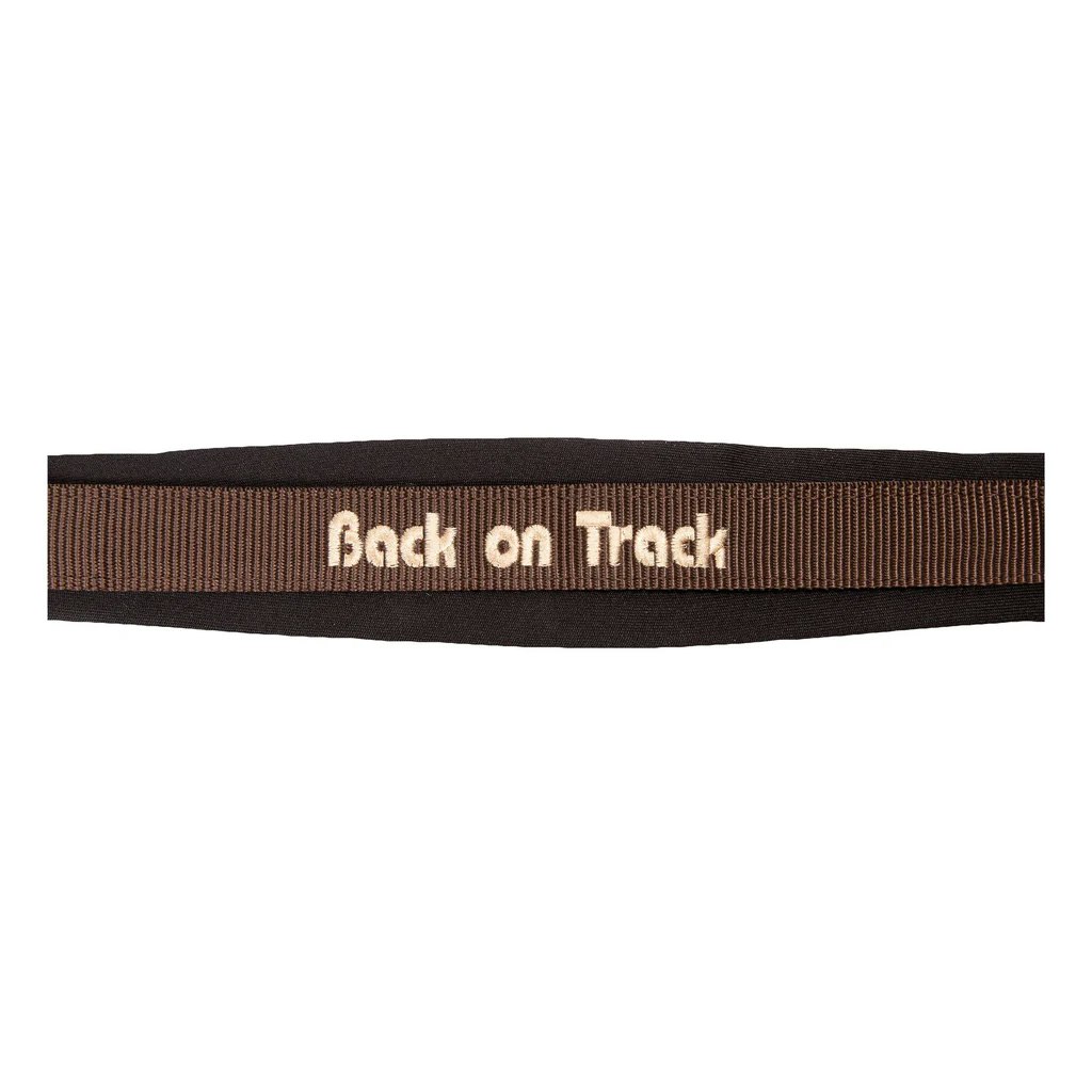 Back on Track Werano Grimma, Brun