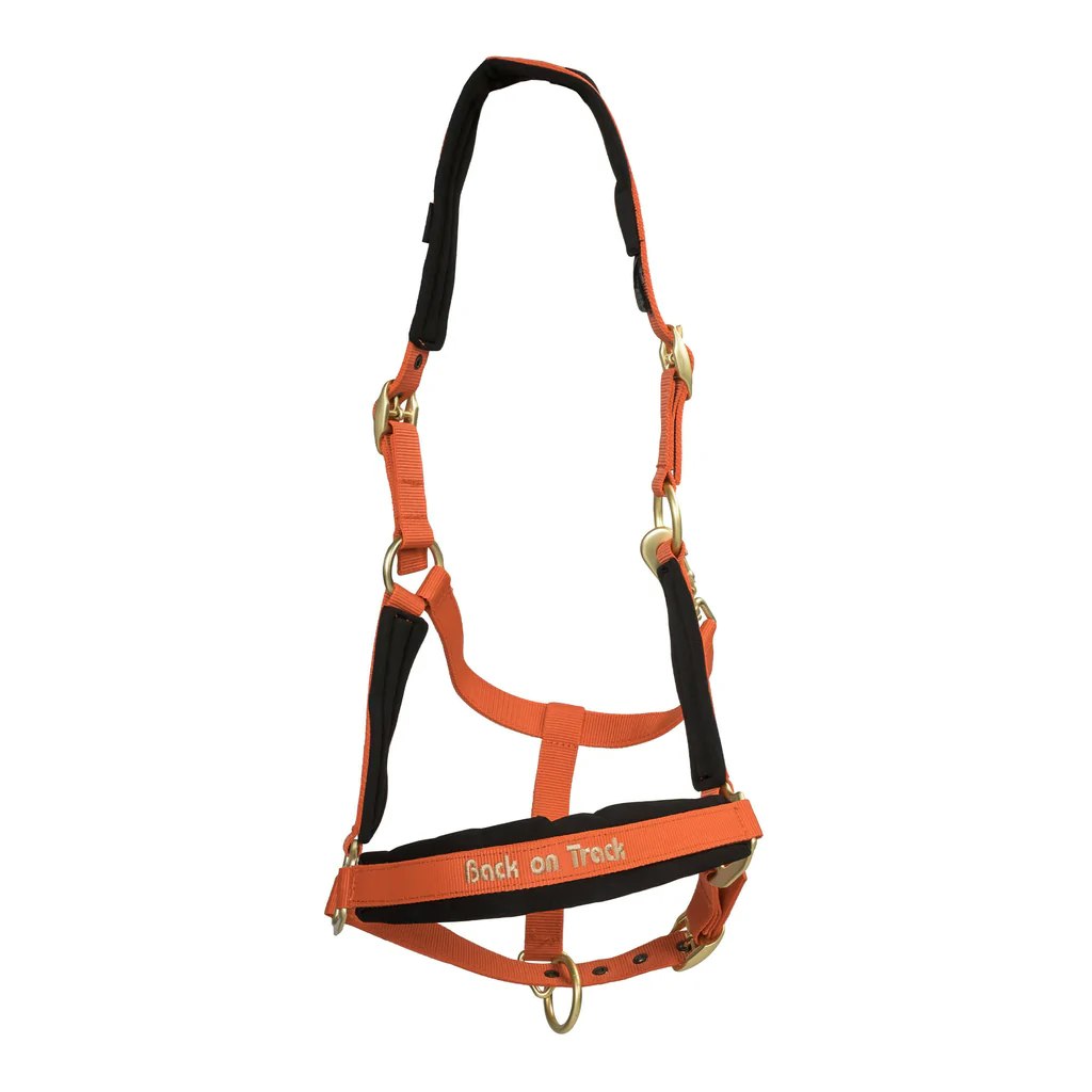 Back on Track Werano Grimma, Orange