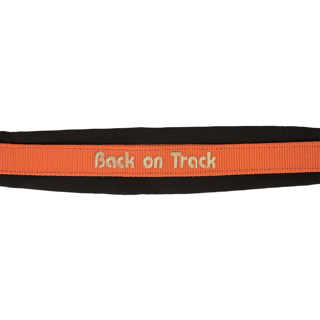Back on Track Werano Grimma, Orange