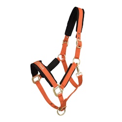 Back on Track Werano Grimma, Orange