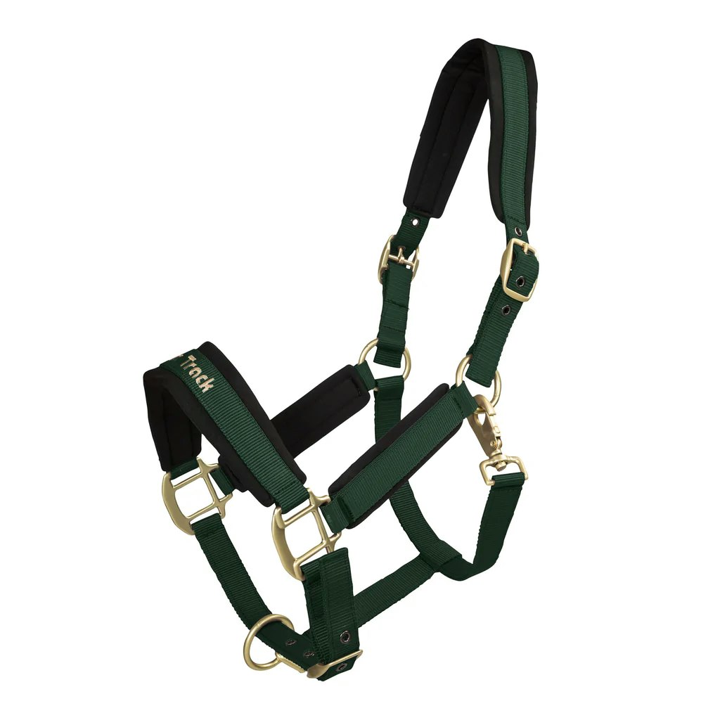 Grön Elegant grimma fodrad med Welltex®-teknologi.