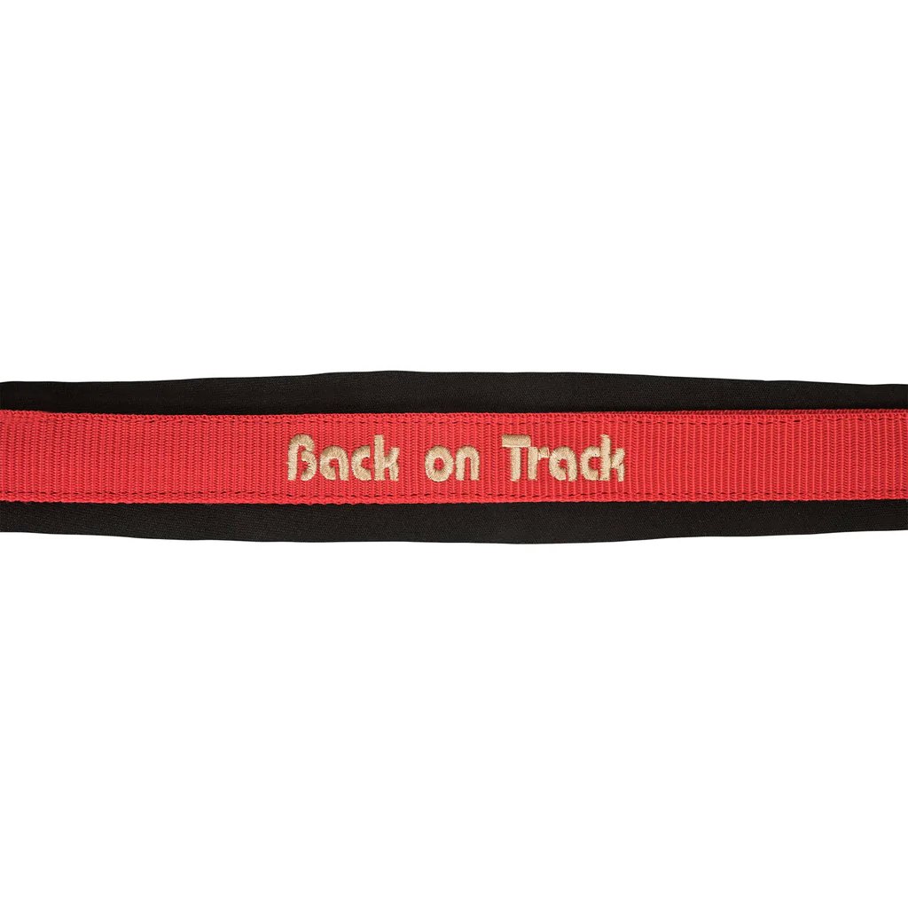 Back on Track Werano Grimma, Röd