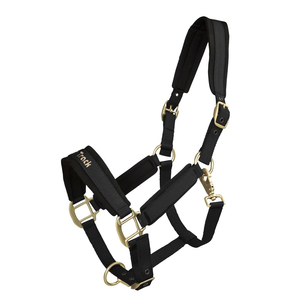 Svart Elegant grimma fodrad med Welltex®-teknologi.