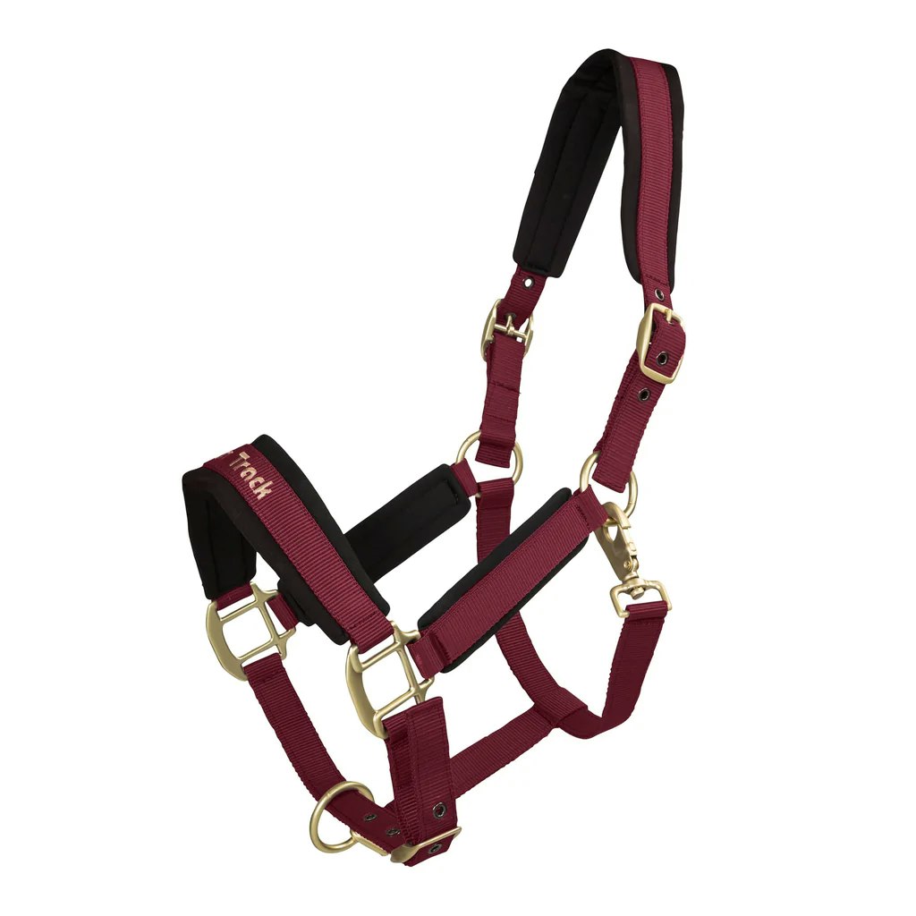 Vinröd Elegant grimma fodrad med Welltex®-teknologi.