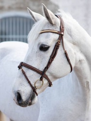Jacson California Aachen Bridle, Brun