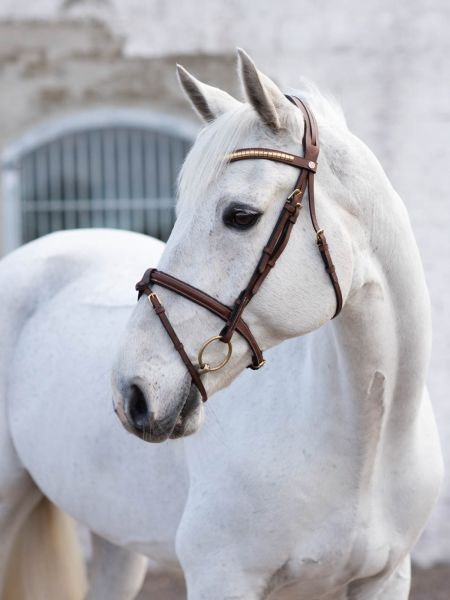 Jacson California Aachen Bridle, Brun