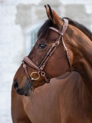 Jacson Cleveland Dressage Bridle, Brun