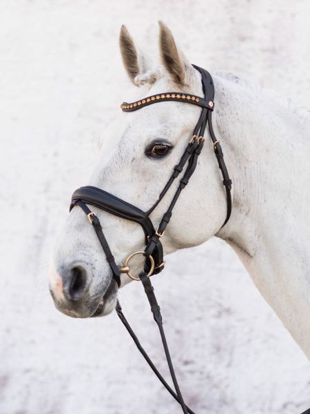 Jacson Cleveland Dressage Bridle Svart