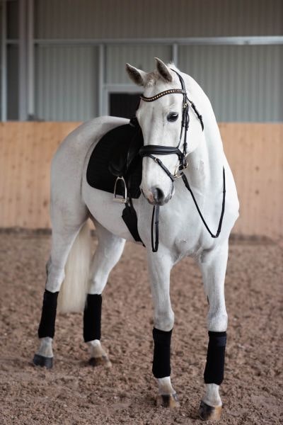 Jacson Cleveland Dressage Bridle Svart