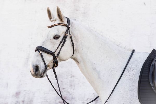 Jacson Cleveland Dressage Bridle Svart