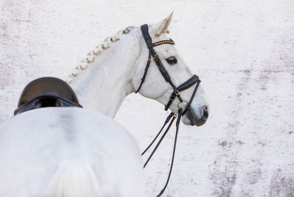 Jacson Cleveland Dressage Bridle Svart