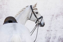 Jacson Cleveland Dressage Bridle Svart