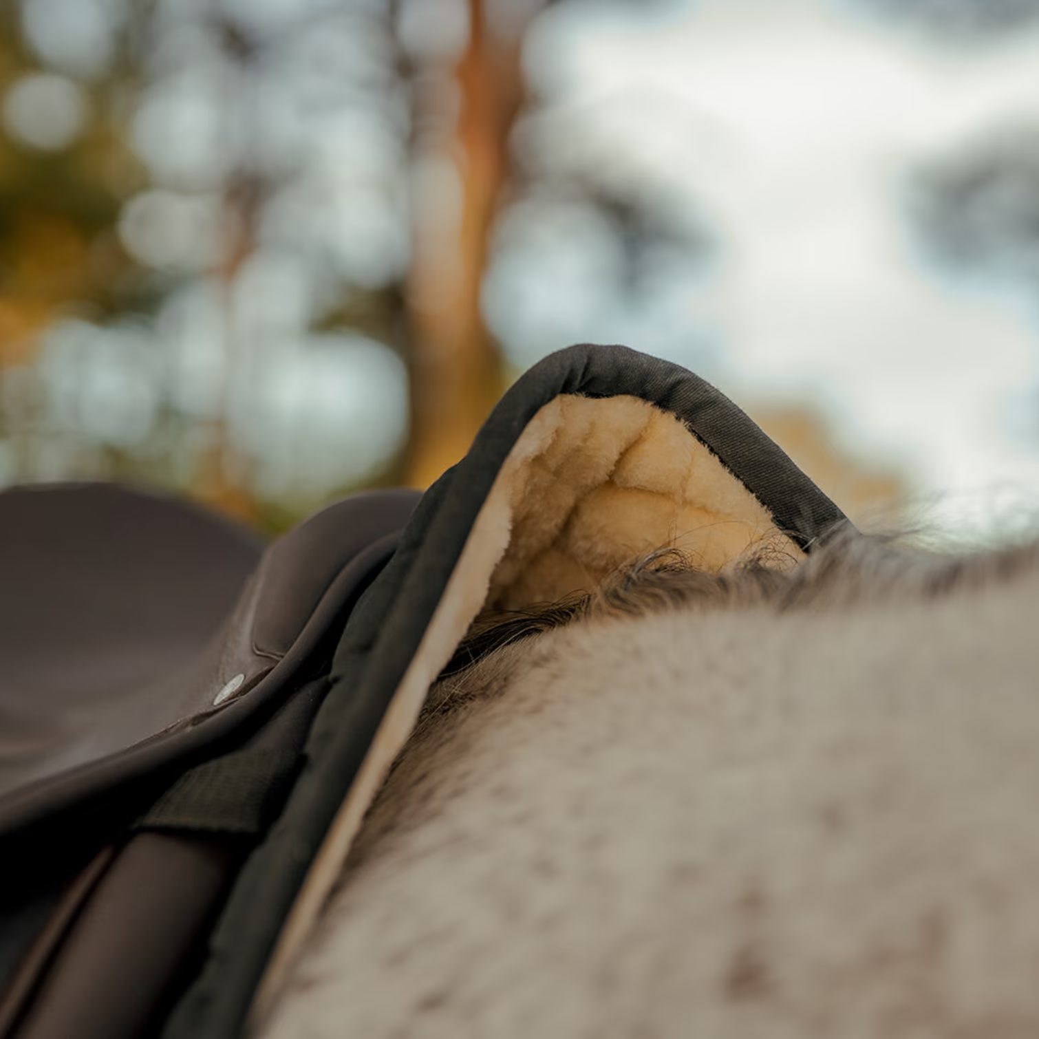 HANSBO SPORT Schabrak SHEEPLIKE Hopp/Allround Full, Svart